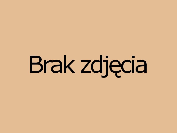 Strony internetowe Rzeszów